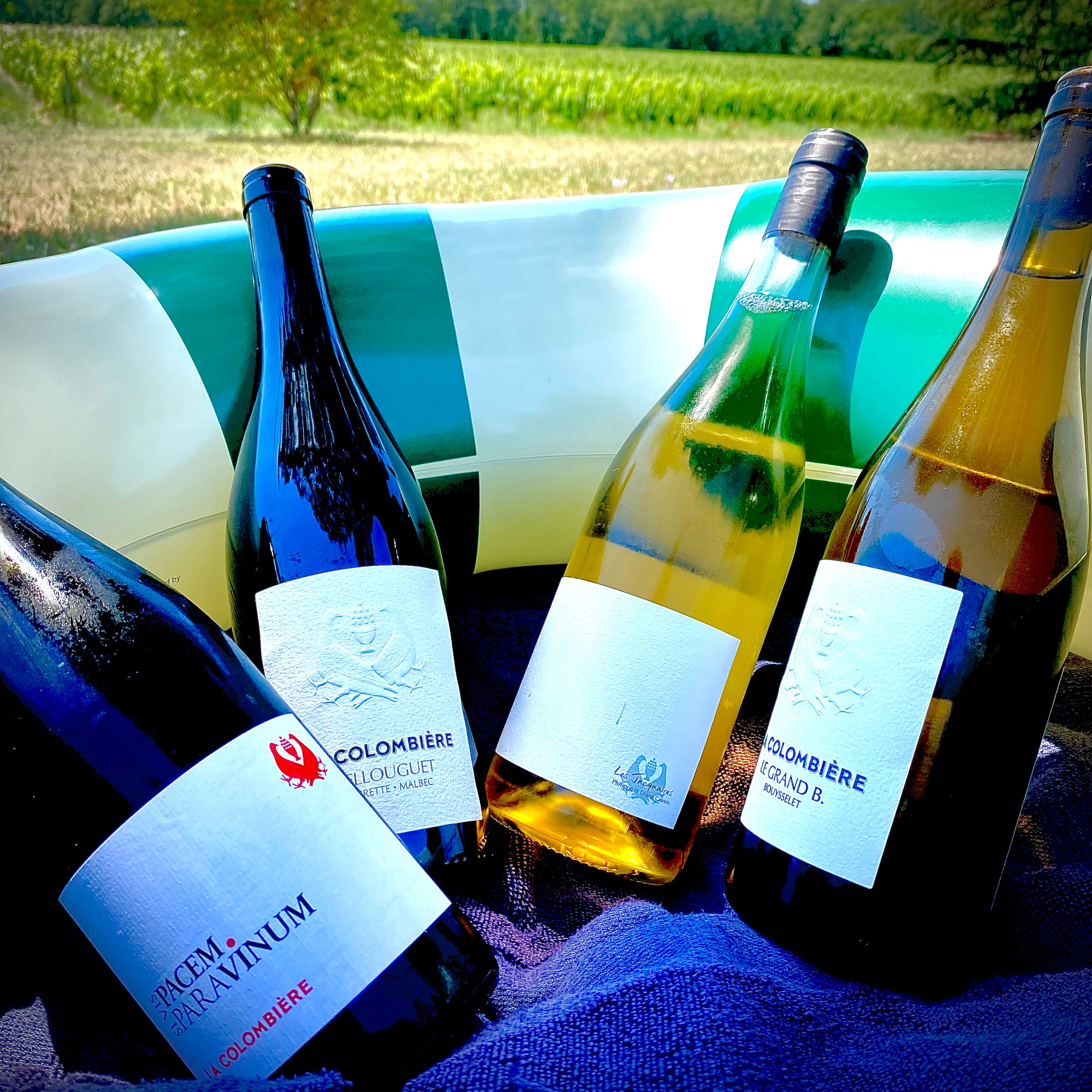 Assortiment de 12 cuvées pour un été de bon goût à prix doux