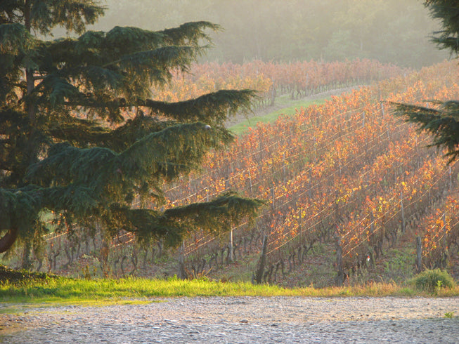 L'automne en 6 cuvées: Coffret Sélection Haut de Gamme